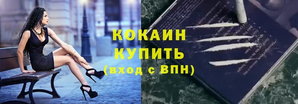 стаф Краснослободск