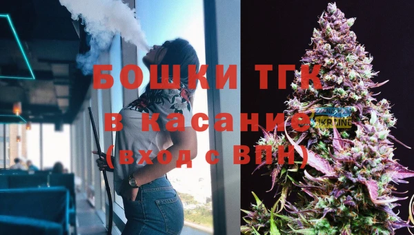 стаф Краснослободск
