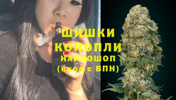 стаф Краснослободск