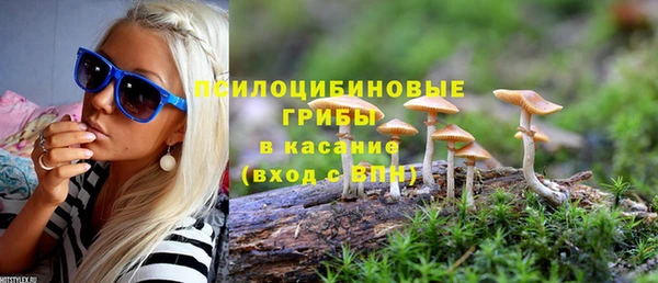 прущие крисы Краснотурьинск