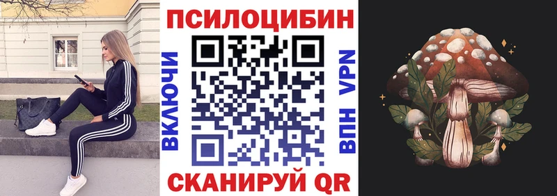 Галлюциногенные грибы Magic Shrooms  Купить  Бежецк 