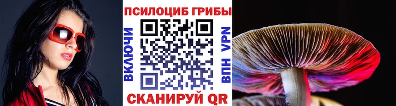 Псилоцибиновые грибы ЛСД Бежецк
